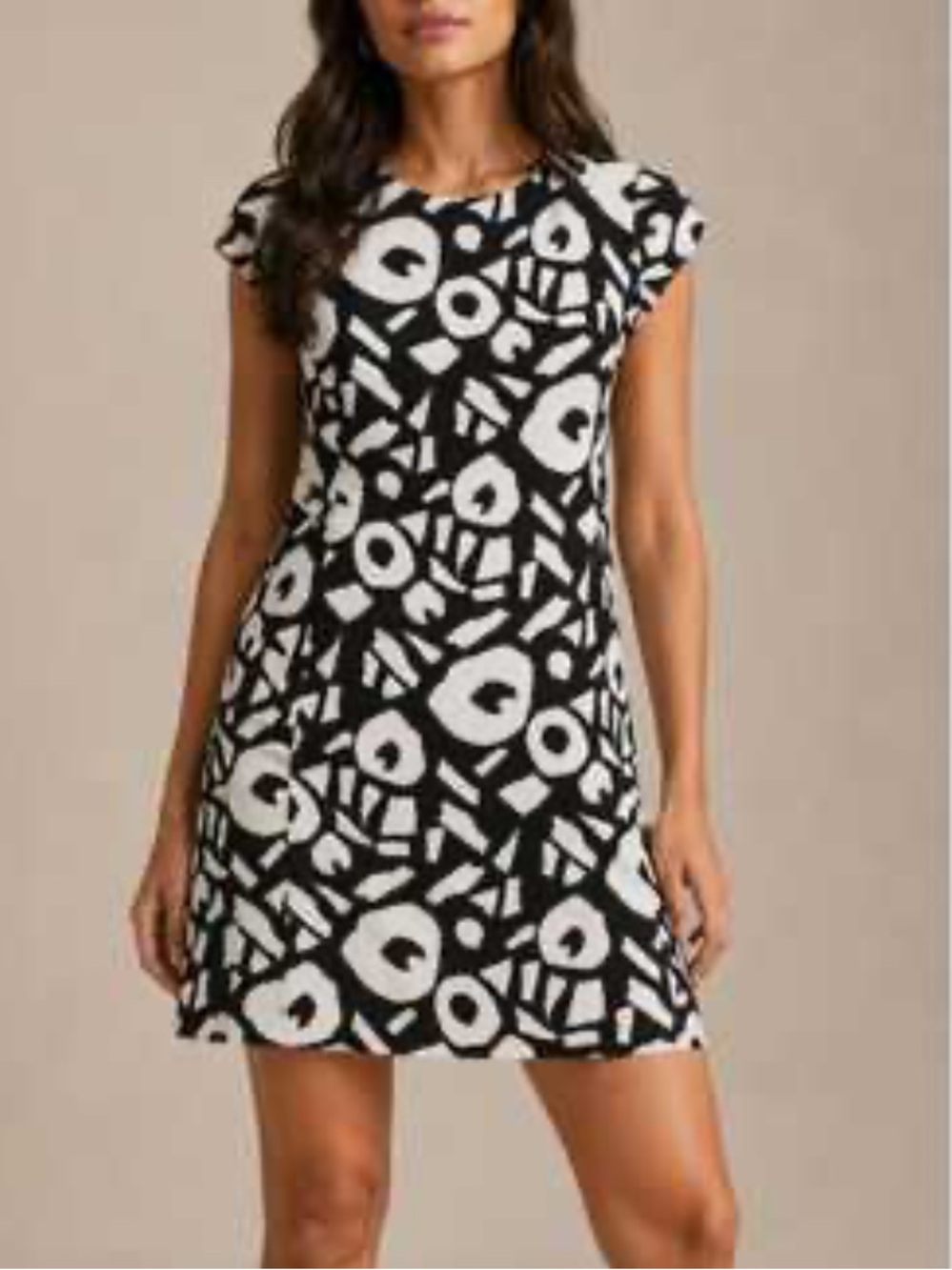 NWT LOFT Bedrock Shift Dress Size 2